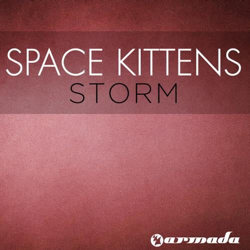 Space Kittens Storm Aquarius Mix Armada Music Albums Music