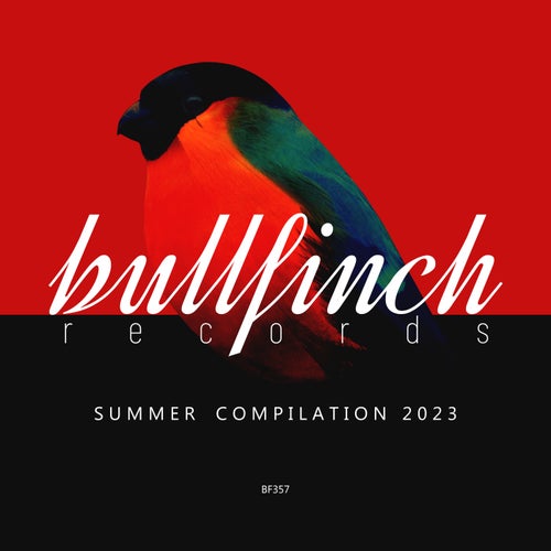 Cover art for Bullfinch Summer 2023 Compilation