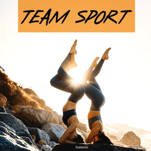 Cover art for Team Sport