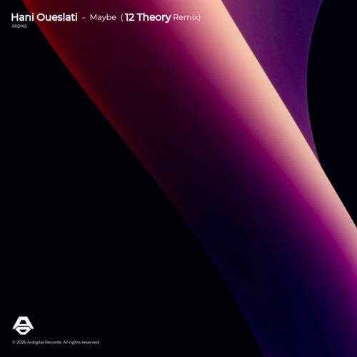 Maybe (12 Theory Remix)
