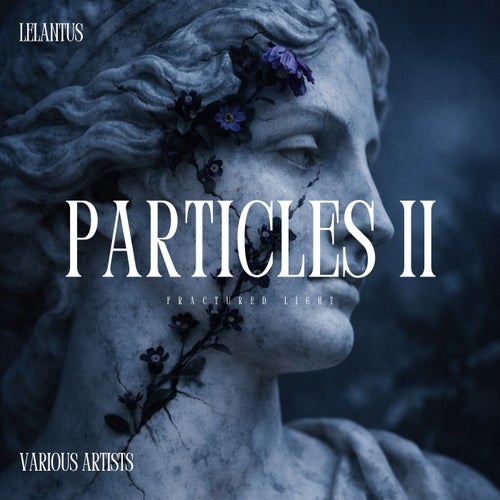 Particles II