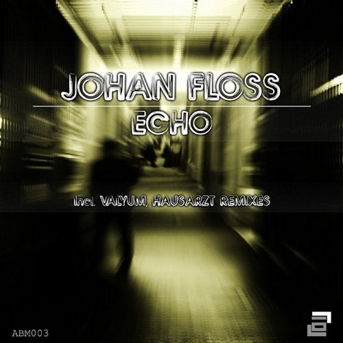 Cover art for Echo