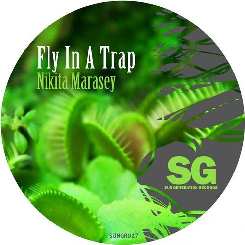 Fly In A Trap