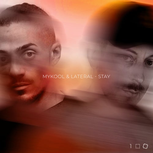 Stay