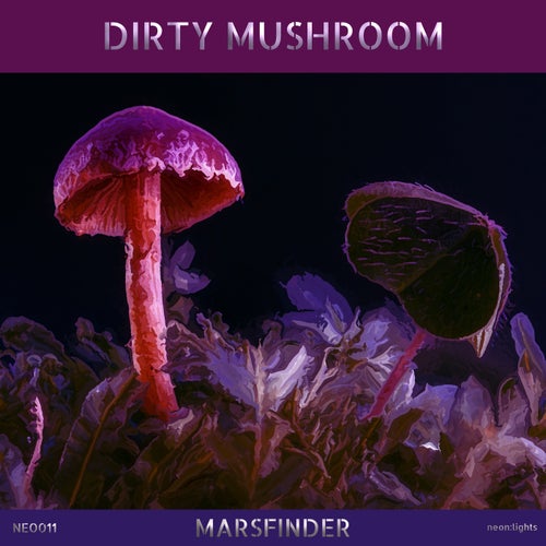 Dirty Mushroom
