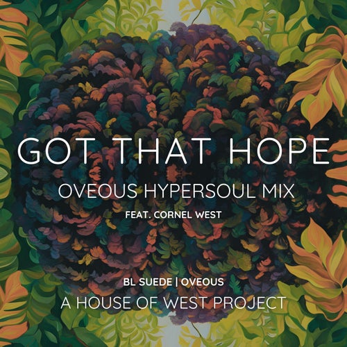 Got That Hope (OVEOUS HyperSoul Mix) (feat. Cornel West)