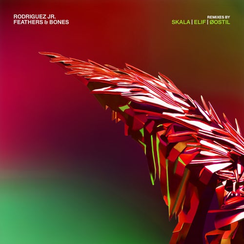 Cover art for Feathers & Bones Remixes