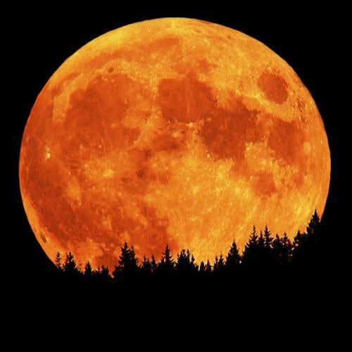 Point To The Moon
