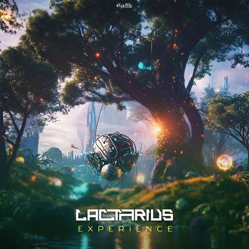  Lactarius - Experience (2025) 