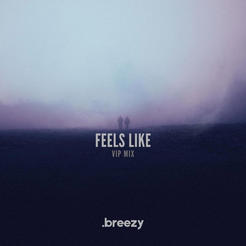 Feels Like (VIP Mix)