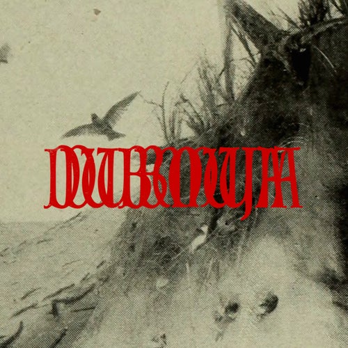 Dubmuja 002