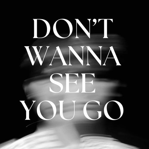 Don't Wanna See You Go (Radio Edit)
