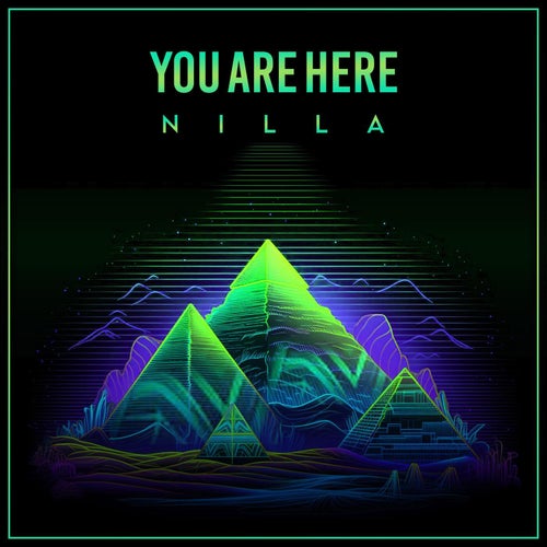You are here