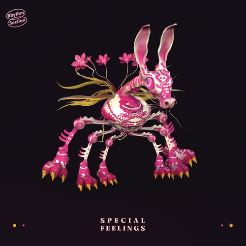 Cover art for Special Feelings