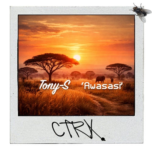 Awasasi (Original Mix)