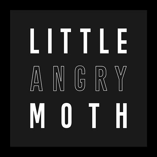 Little Angry Moth