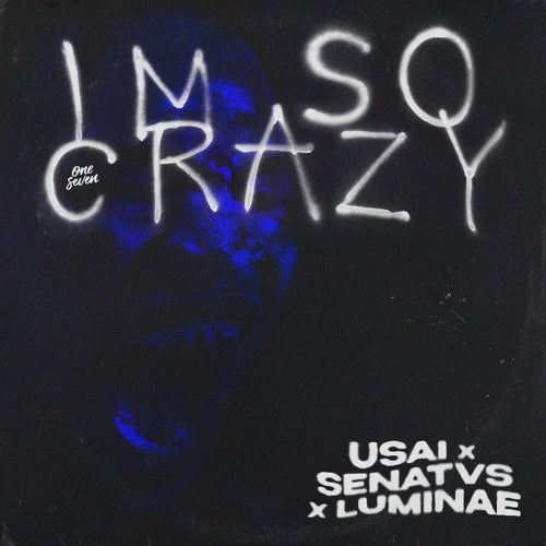 I'm So Crazy (Extended Mix)
