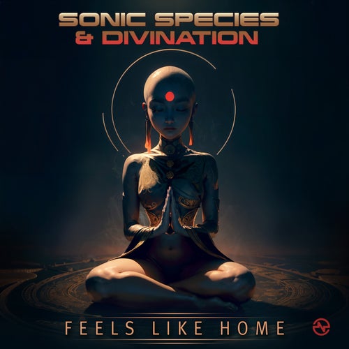  Sonic Species & Divination - Feels Like Home (2023) 