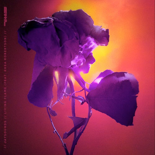 Living Flame [Extended Mix] (feat. Rhea Robertson)