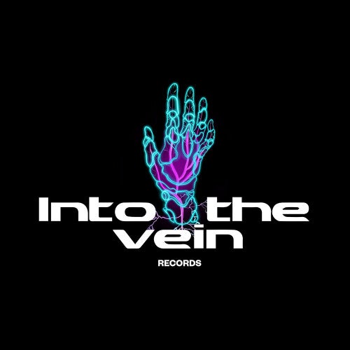 Into The Vein Records