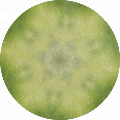 Malinconia Passiva