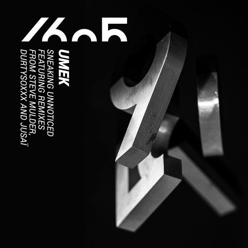 Cover art for Sneaking Unnoticed