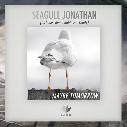 Seagull Jonathan