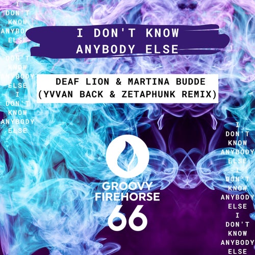 Cover art for I Don't Know Anybody Else (Yvvan Back & ZetaPhunk Remix)