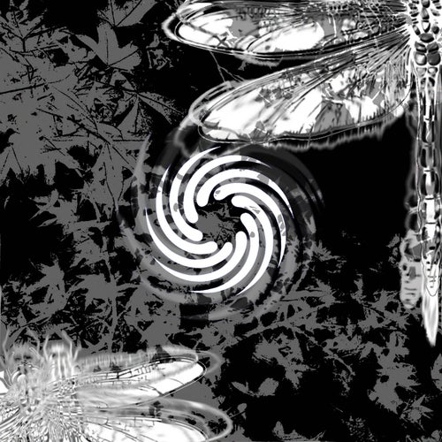 FF009 - Devil's Darning Needle