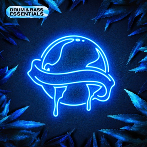 Drum & Bass Essentials 2026