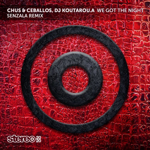 We Got the Night (Senzala Remix)