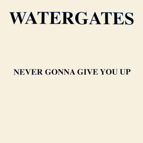 Never Gonna Give You Up