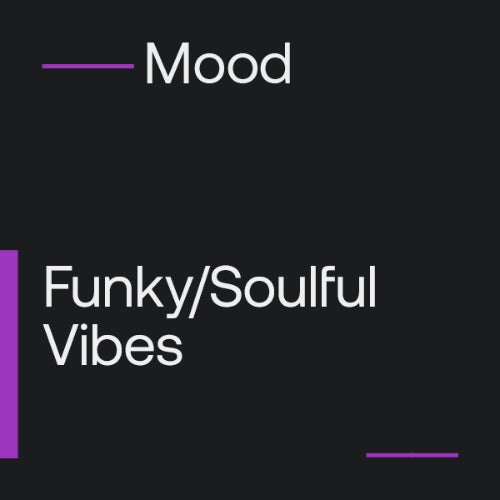 Funky & Soulful Vibes: Nu Disco / Disco