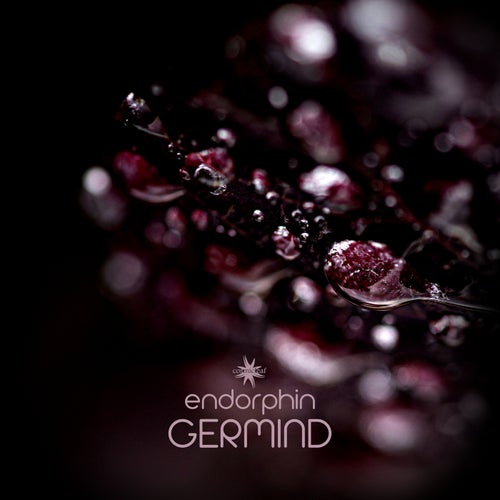 Cover art for Endorphin