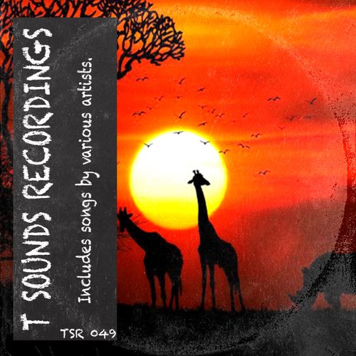 T Sounds Recordings [T Sounds Recordings]