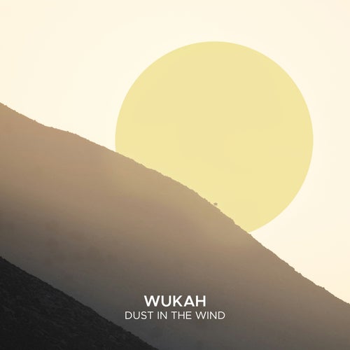 Dust In The Wind