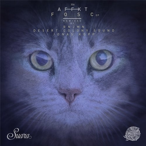 Cover art for Fosc EP