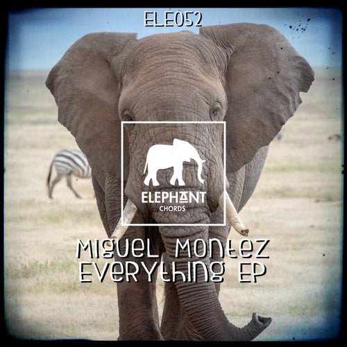 Everything