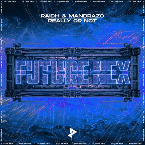 Really Or Not (Extended Mix)