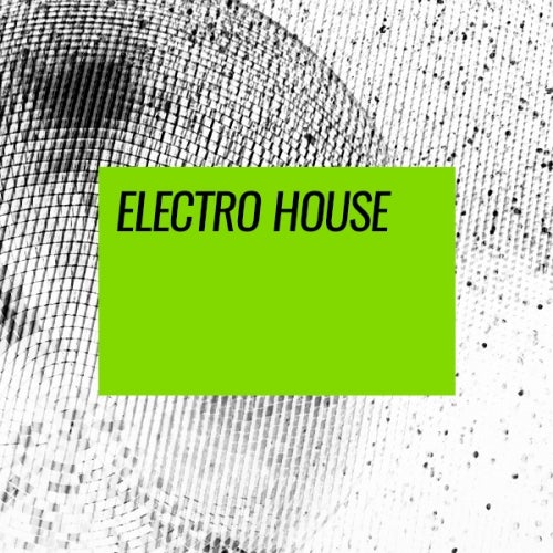 Floor Fillers: Electro House