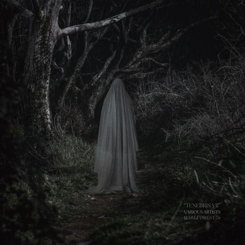 Tenebris VII