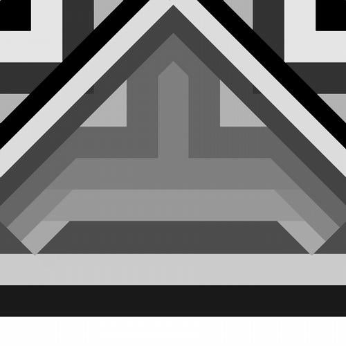 P X03