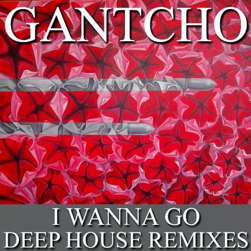 I Wanna Go - Deep House Remixes