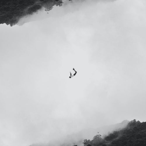 Falling