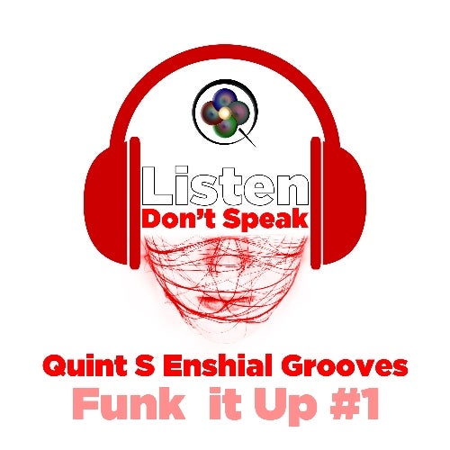 Quint S Enshial Grooves - Funk it Up #1