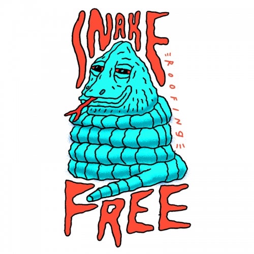 Snake Free Roofing