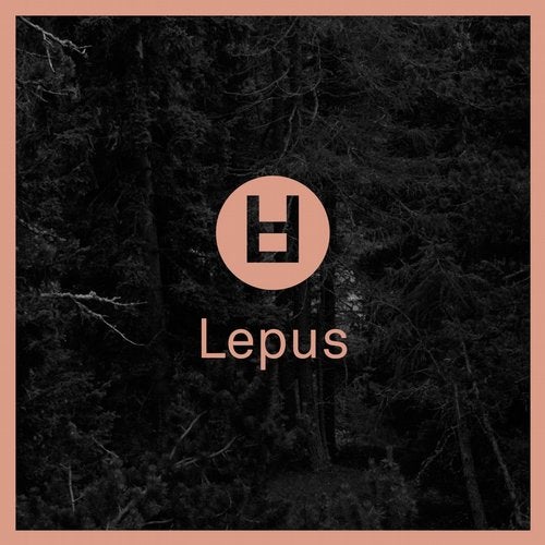 Lepus Pt. 1