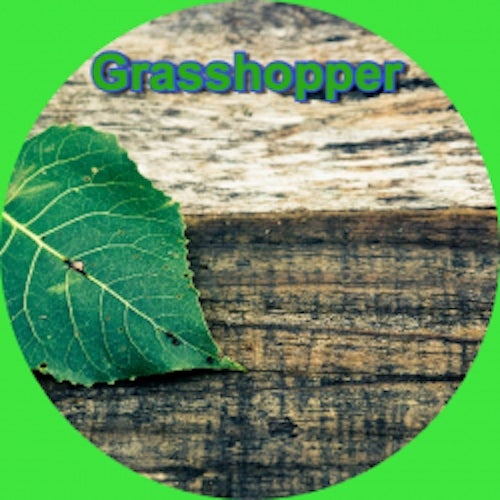Grasshopper