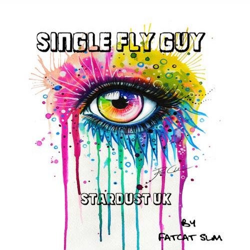 Single Fly Guy