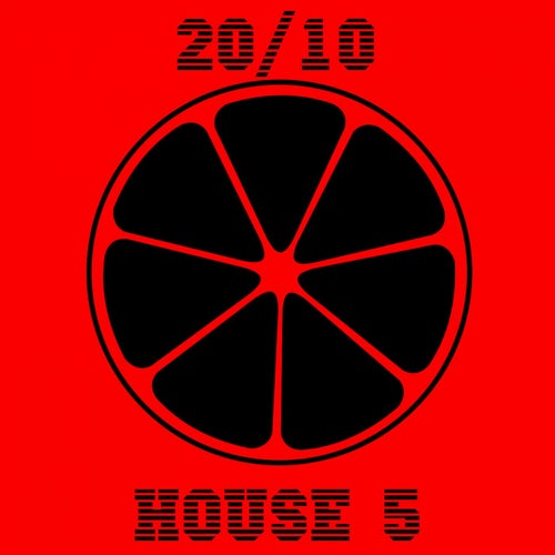 20/10 House, Vol. 5